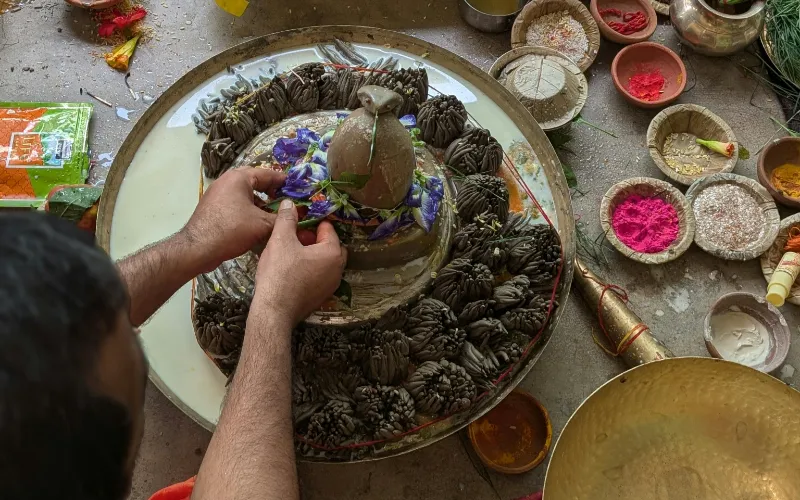 Kaal Sarp Dosh Puja