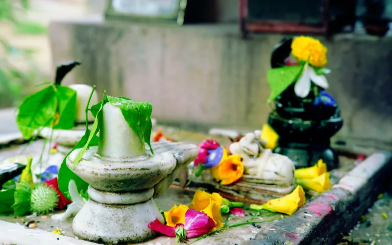 Rudrabhishek Puja